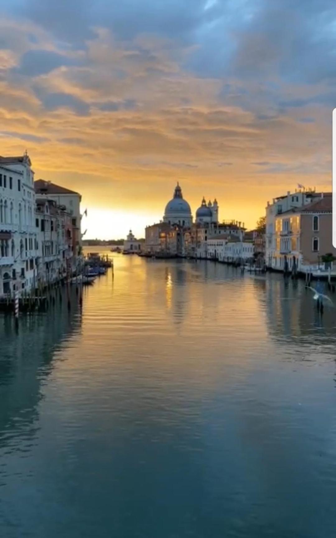 Gondola Show Venice Bilik gambar